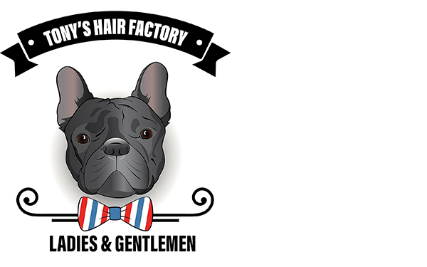 logo-Tony's-Hair-Factory